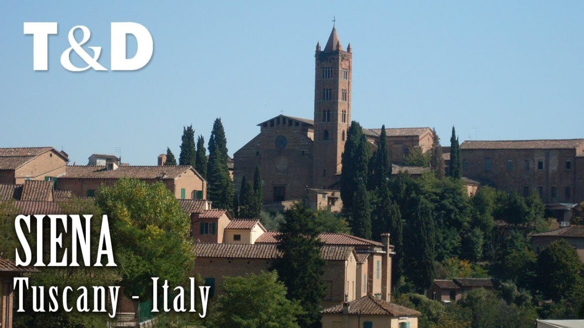 Best Things to Do in Siena 8211 A Travel Guide